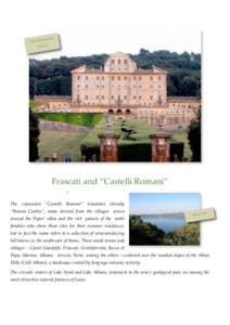 i obrandin Villa Ald Frascati  Frascati and “Castelli Romani”