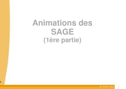 Animations des SAGE (1ère partieavril 2013
