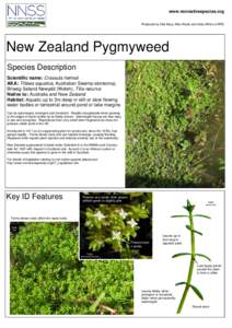 Flora of New South Wales / Flora of New Zealand / Flora of Tasmania / Flora / Natural history of Australia / Aquatic plants / Invasive plant species / Flora of Australia / Crassula helmsii