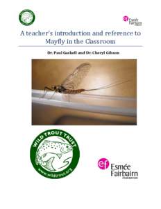 A teacher’s introduction and reference to Mayfly in the Classroom Dr. Paul Gaskell and Dr. Cheryl Gibson