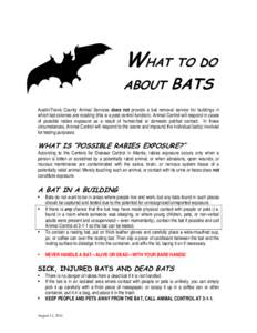 Microsoft Word - Bat Info revised.doc