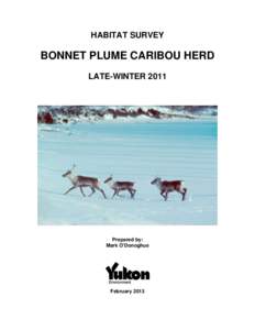 Peel Watershed / Migratory woodland caribou / Bonnet Plume River / Peel River / Deer / Interior Alaska-Yukon lowland taiga / Geography of Canada / Reindeer / Geography of Yukon