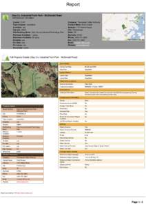 Report Clay Co. Industrial/Tech Park - McDonald Road HAYESVILLE, NC[removed]County : CLAY Type of space : vacantland Available : yes