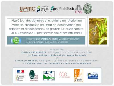 Mise à jour des données d’inventaire de l’Agrion de Mercure, diagnostic de l’état de conservation des habitats et préconisations de gestion sur le site Natura 2000 « Vallée de l’Epte francilienne et ses aff