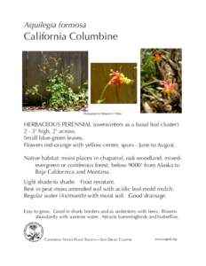 Aquilegia formosa  California Columbine Photographs by Margaret L. Fillius