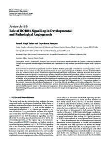 Role of ROBO4 Signalling in Developmental and Pathological Angiogenesis