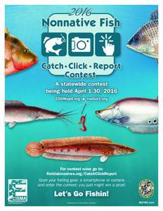 For contest rules go to: floridainvasives.org/CatchClickReport Grab your fishing gear, a smartphone or camera and enter the contest; you just might win a prize!  Illustrations © Diane Rome Peebles