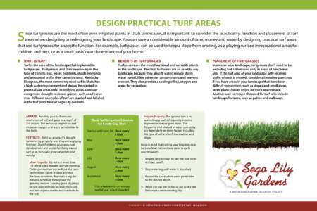 Design Practical Turf Areas  S ince turfgrasses are the most often over-irrigated plants in Utah landscapes, it is important to consider the practicality, function and placement of turf areas when designing or redesignin