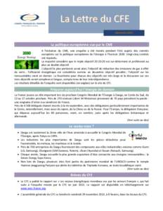 La Lettre du CFE Septembre 2013 La politique européenne vue par le CME A l’initiative du CME, une enquête a été menée pendant l’été auprès des comités européens sur la politique européenne de l’énergie 