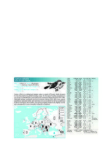 Birds in Europe – Orioles; Shrikes  Oriolus oriolus
