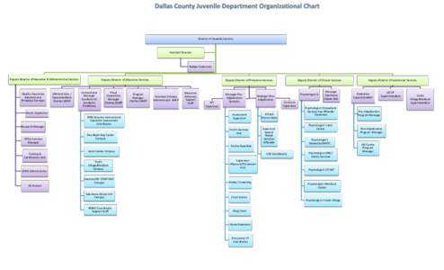 Director of Juvenile Services  Assistant Director Budget Supervisor