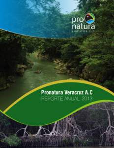 Pronatura Veracruz A.C REPORTE ANUAL  PRONATURA VERACRUZ