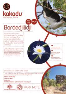 Bardedjilidji walk and art site factsheet, Kakadu National Park