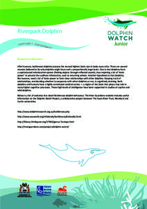 Riverpark Dolphin Lesson plan 3 - Real intel ligence Junior
