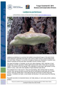 Fungus Factsheet[removed]Science and Conservation Division Laetiporus portentosus by Richard Robinson, Science and Conservation Division, Manjimup [removed]