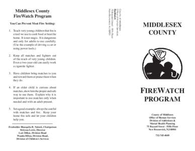 You Can Prevent Most Fire Setting: 1.	 Teach very young children that fire is a tool we use to cook food or heat the home.  It is not magic.  It is dangerous and only for adults to use carefully.   (Use the example of dr