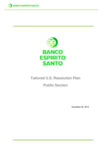 Banco Espirito Santo - Resolution Plan 2013