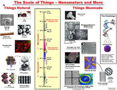 Microsoft PowerPoint - Scale_of_Things_26MAY06.ppt