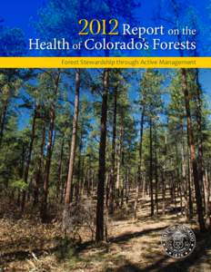 Flora / Mountain pine beetle / Bark beetle / Dendroctonus / Pinus ponderosa / Thousand cankers disease / Spruce Budworm / Lodgepole Pine / Colorado Beetle Kill / Flora of the United States / Curculionidae / Woodboring beetles