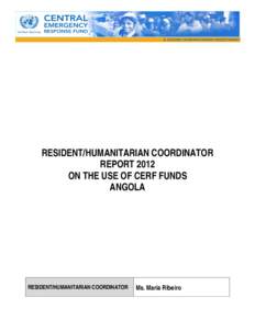 Microsoft Word - Angola RC-HC Report 2012 FINAL 29 April 2013.docx