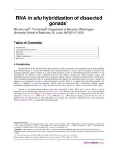 RNA in situ hybridization of dissected gonads* Min-Ho Lee§†, Tim Schedl§, Department of Genetics, Washington University School of Medicine, St. Louis, MOUSA  Table of Contents