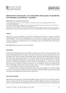 Zootaxa,Balantiocheilos ambusticauda, a new and possibly extinct species of cyprinid fish ...
