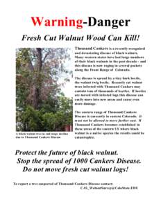 Warning-Danger Fresh Cut Walnut Wood Can Kill! Thousand Cankers is a recently recognized and devastating disease of black walnuts. Many western states have lost large numbers of their black walnuts in the past decade - a