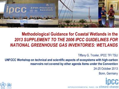 Task Force on National Greenhouse Gas Inventories  Methodological Guidance for Coastal Wetlands in the 2013 SUPPLEMENT TO THE 2006 IPCC GUIDELINES FOR NATIONAL GREENHOUSE GAS INVENTORIES: WETLANDS Tiffany G. Troxler, IPC