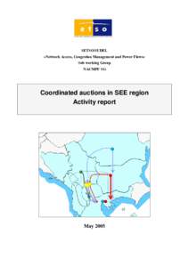 Microsoft Word - AF6_Coordinated_auction_SEE_activity_report_v2.doc