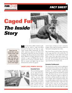 FACT SHEET  Caged Fur HSUS/FRANTZ DANTZLER