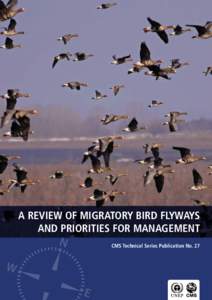 A REVIEW OF MIGRATORY BIRD FLYWAYS AND PRIORITIES FOR MANAGEMENT N  CMS Technical Series Publication No. 27