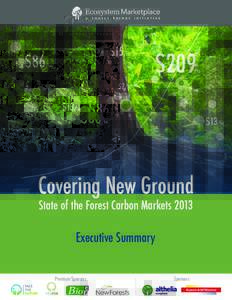Emissions reduction / Climate change / Climate change policy / Greenhouse gas emissions / Carbon offset / Reducing Emissions from Deforestation and Forest Degradation / Ecosystem Marketplace / Emissions trading / Pedro Moura Costa / Carbon finance / Environment / Forestry