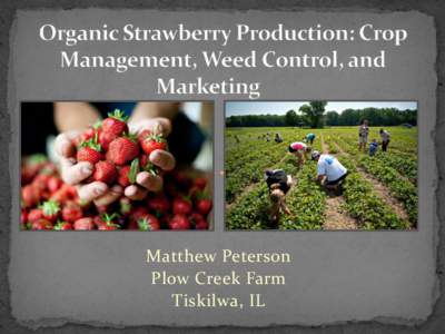 Matthew Peterson Plow Creek Farm Tiskilwa, IL  Communally owned and in