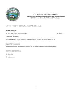 CITY OF BLACK DIAMOND July 10, 2014 Special Meeting and Town Hall Meeting Agenda[removed]Lawson Street, Black Diamond, Washington 6:00 P.M. – CALL TO ORDER, FLAG SALUTE, ROLL CALL