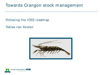 Towards Crangon stock management Following the ICES roadmap Tobias van Kooten What is management?