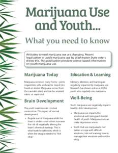 Marijuana Use and Youth... What you need to know Attitudes toward marijuana use are changing. Recent legalization of adult marijuana use by Washington State voters shows this. This publication provides science-based info