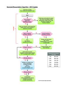 Neonatal Resuscitation Algorithm—2015 Update Antenatal counseling Team briefing and equipment check Birth