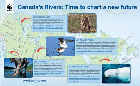 Mackenzie River  One of the world’s few large wild rivers, the free-flowing Mackenzie is a remarkable ecosystem of continental and global importance. Caribou are just one of the countless species who depend on the Mack