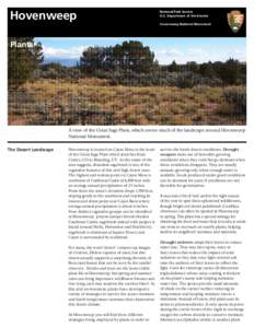 Native American history / Hovenweep National Monument / Cryptobiotic soil / Plant roots / Colorado Pinyon / Deserts and xeric shrublands / Soil / Artemisia tridentata / Seed / Flora of the United States / Biology / Botany