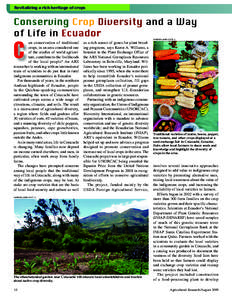Revitalizing a rich heritage of crops  Conserving Crop Diversity and a Way of Life in Ecuador KAREN WILLIAMS (D1476-1)