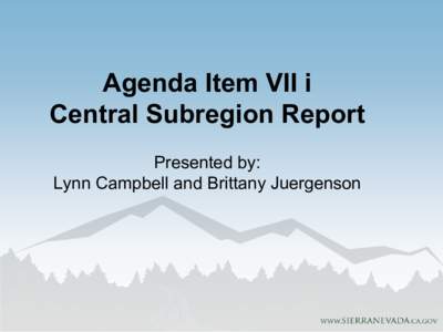 Agenda Item VII i Central Subregion Report Presented by: Lynn Campbell and Brittany Juergenson  Central Subregion