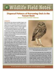 Volume 1  Dispersal Patterns of Burrowing Owls in the Tucson Basin Shawn F. Lowery and Scott T. Blackman Introduction
