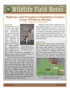 Volume 5  Highways and Pronghorn Population Genetics across Northern Arizona Scott C. Sprague and Jeff W. Gagnon