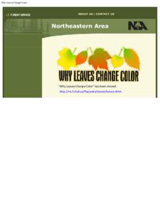 Why Leaves Change Color  ABOUT US | CONTACT US Northeastern Area