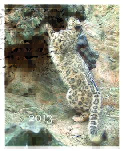 2013 Snow Leopard Trust Annual Report In a truly global effort, in 2013 more than 3,000 people