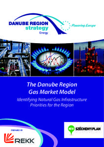 The Danube Region Gas Market Model Identifying Natural Gas Infrastructure Priorities for the Region  PREPARED BY