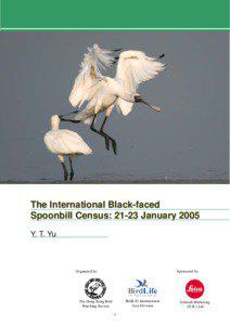 The International Black-faced Spoonbill Census: 21-23 January 2005 Y. T. Yu