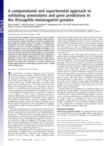 A computational and experimental approach to validating annotations and gene predictions in the Drosophila melanogaster genome Mark Yandell*†‡, Adina M. Bailey†§, Sima Misra†§, ShengQiang Shu§, Colin Wiel§, M