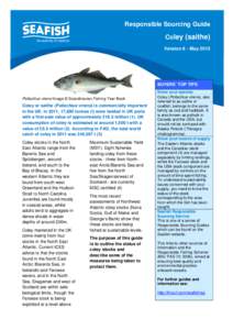 Seafish Responsible Sourcing Guide: Coley 2013