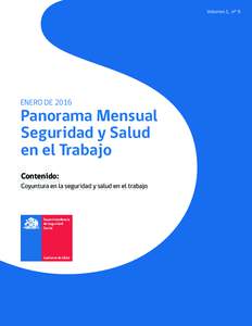 Volumen 1, n° 9  ENERO DE 2016 Panorama Mensual Seguridad y Salud